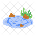 پیش‌نمایش فایل tidal-pool-15601209 از پک تابستان