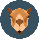 پیش‌نمایش فایل camel-5 از پک حیوانات