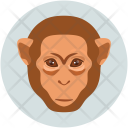 پیش‌نمایش فایل monkey-13 از پک حیوانات