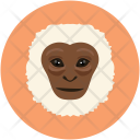 پیش‌نمایش فایل monkey-14 از پک حیوانات
