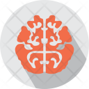 پیش‌نمایش فایل brain-94 از پک پزشکی – جلد ۲