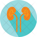پیش‌نمایش فایل kidneys-5 از پک پزشکی – جلد ۲