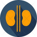 پیش‌نمایش فایل kidneys-6 از پک پزشکی – جلد ۲