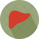 پیش‌نمایش فایل liver-6 از پک پزشکی – جلد ۲