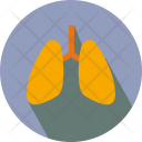 پیش‌نمایش فایل lungs-10 از پک پزشکی – جلد ۲