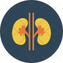 پیش‌نمایش فایل medical-145 از پک پزشکی – جلد ۱