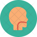 پیش‌نمایش فایل medical-146 از پک پزشکی – جلد ۱