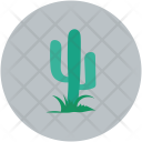 پیش‌نمایش فایل cactus-10 از پک سفر