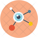 پیش‌نمایش فایل seo-24 از پک وب