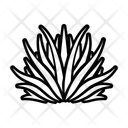 پیش‌نمایش فایل nature-symbol-16668587 از پک ورا آلوئه