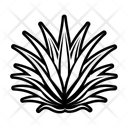 پیش‌نمایش فایل nature-symbol-16668589 از پک ورا آلوئه