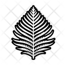 پیش‌نمایش فایل fern-16705440 از پک سرخس