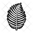 پیش‌نمایش فایل fern-symbol-16705441 از پک سرخس
