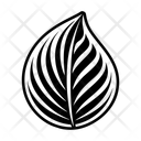 پیش‌نمایش فایل foliage-symbol-16779740 از پک برگ