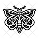 پیش‌نمایش فایل butterfly-16833048 از پک شب‌پره