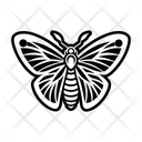 پیش‌نمایش فایل moth-creature-16833065 از پک شب‌پره