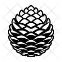 پیش‌نمایش فایل fir-cone-16833227 از پک میوه کاج