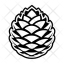 پیش‌نمایش فایل pinecone-16833237 از پک میوه کاج