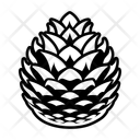 پیش‌نمایش فایل pinecone-16833257 از پک میوه کاج