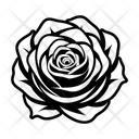 پیش‌نمایش فایل rose-16833311 از پک گل رز