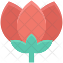 پیش‌نمایش فایل flower-165 از پک زیبایی و اسپا