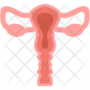پیش‌نمایش فایل bladder از پک پزشکی و سلامت – جلد ۱