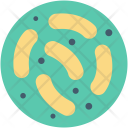 پیش‌نمایش فایل bacteria-21 از پک علم و تکنولوژی