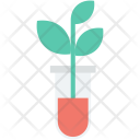 پیش‌نمایش فایل botany از پک علم و تکنولوژی