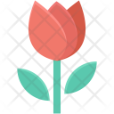 پیش‌نمایش فایل beauty-29 از پک طبیعت و محیط‌زیست – جلد ۱