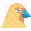 پیش‌نمایش فایل chicken-185 از پک پرندگان و حیوانات