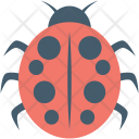 پیش‌نمایش فایل ladybug-19 از پک پرندگان و حیوانات