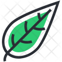 پیش‌نمایش فایل foliage-6 از پک غذا – جلد ۲