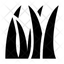 پیش‌نمایش فایل dense-1 از پک طبیعت و محیط‌زیست – جلد ۱
