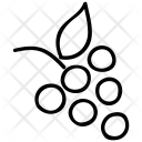 پیش‌نمایش فایل bunch-14 از پک غذا – جلد ۲