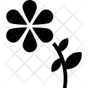 پیش‌نمایش فایل daisy-18 از پک تابستان و سفر – جلد ۲