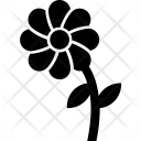 پیش‌نمایش فایل daisy-20 از پک تابستان و سفر – جلد ۳