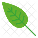 پیش‌نمایش فایل leaf-2809386 از پک جشن شکرگزاری