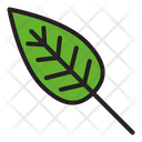 پیش‌نمایش فایل leaf-2809442 از پک جشن شکرگزاری