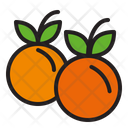 پیش‌نمایش فایل orange-2809445 از پک جشن شکرگزاری