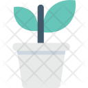 پیش‌نمایش فایل potted-plant-3 از پک املاک و مستغلات ۲