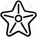 پیش‌نمایش فایل starfish-45 از پک تابستان و سفر ۱