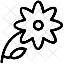 پیش‌نمایش فایل bloodroot-flower از پک تابستان و سفر ۲