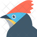پیش‌نمایش فایل hoopoe از پک حیوانات و پرندگان