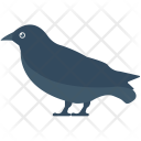 پیش‌نمایش فایل crow-13 از پک حیوانات و پرندگان
