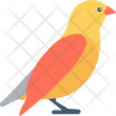 پیش‌نمایش فایل parrot-27 از پک حیوانات و پرندگان