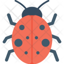 پیش‌نمایش فایل ladybug-33 از پک طبیعت و محیط زیست