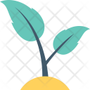 پیش‌نمایش فایل sapling-3 از پک طبیعت و محیط زیست