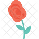 پیش‌نمایش فایل rosebud-38 از پک عشق و عروسی ۱