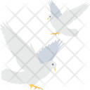پیش‌نمایش فایل loving-birds-2 از پک عشق و عروسی ۲
