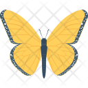 پیش‌نمایش فایل butterfly-354 از پک طبیعت و باغبانی ۱